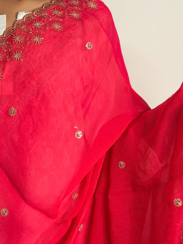 Hand_work_embroidered_dupatta