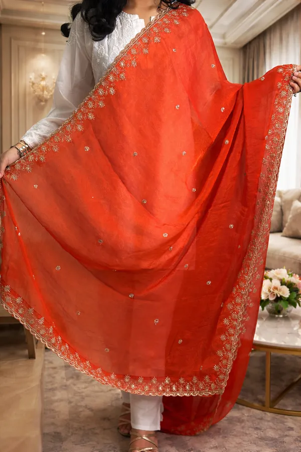 Hand_work_embroidered_dupatta