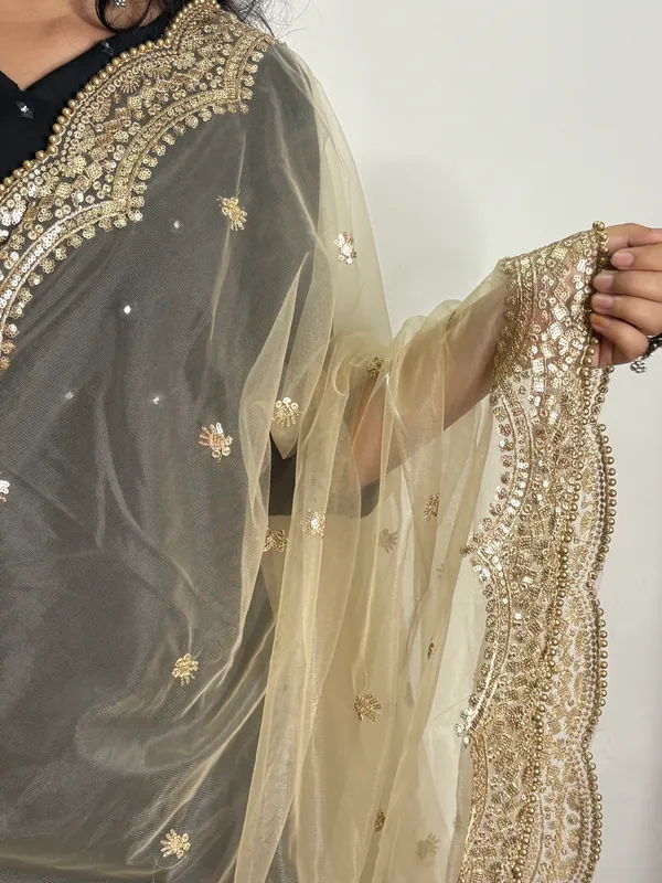 Net_Moti_4_Side_Cutwork_Dupatta