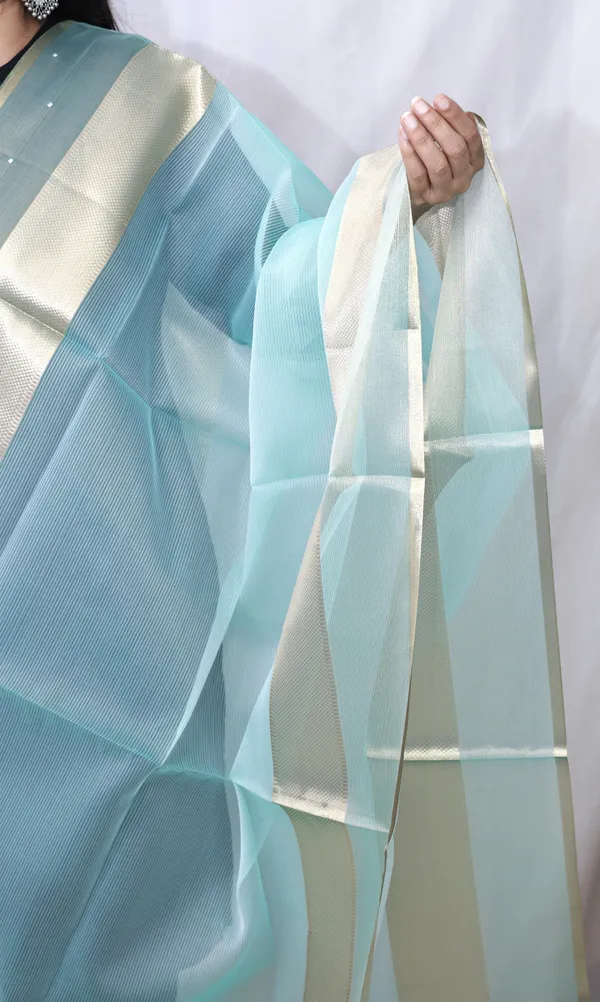 Organza_Zari_Border_Dupatta