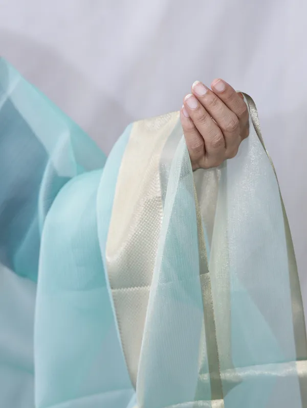 Organza_Zari_Border_Dupatta