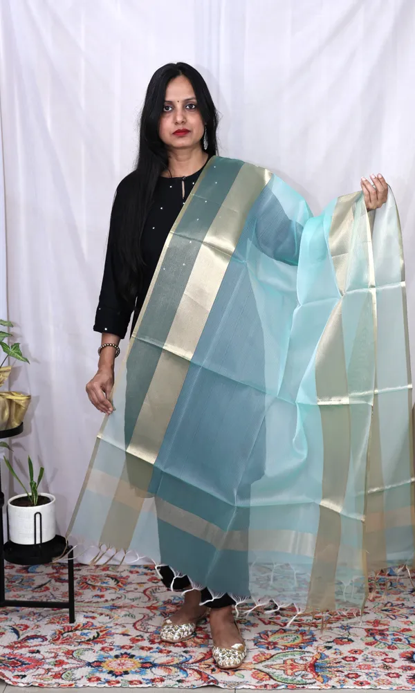 Organza_Zari_Border_Dupatta