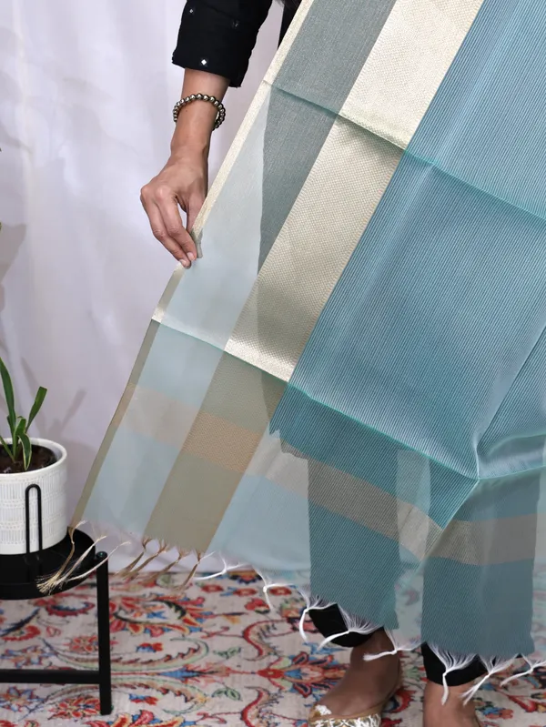 Organza_Zari_Border_Dupatta