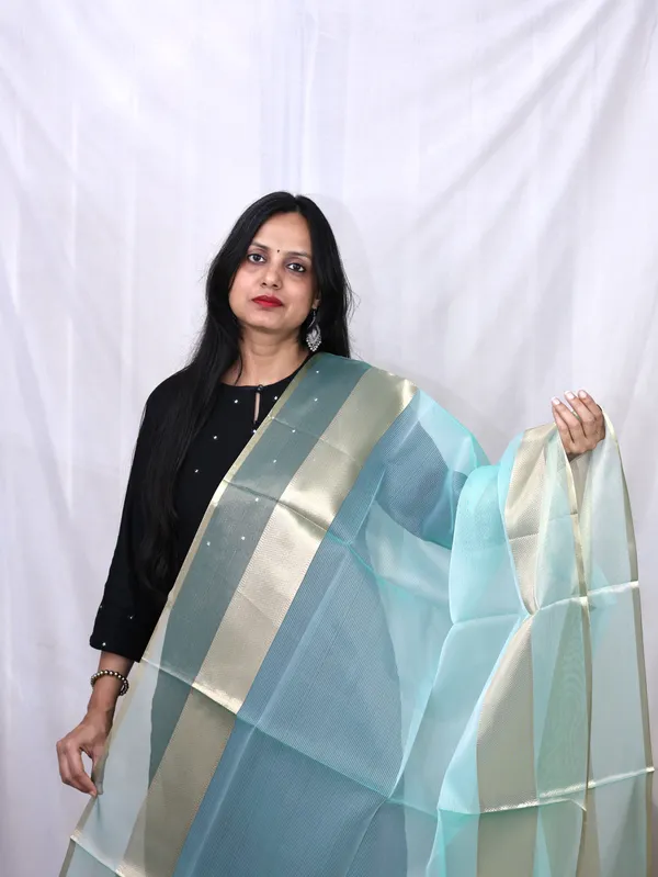 Organza_Zari_Border_Dupatta