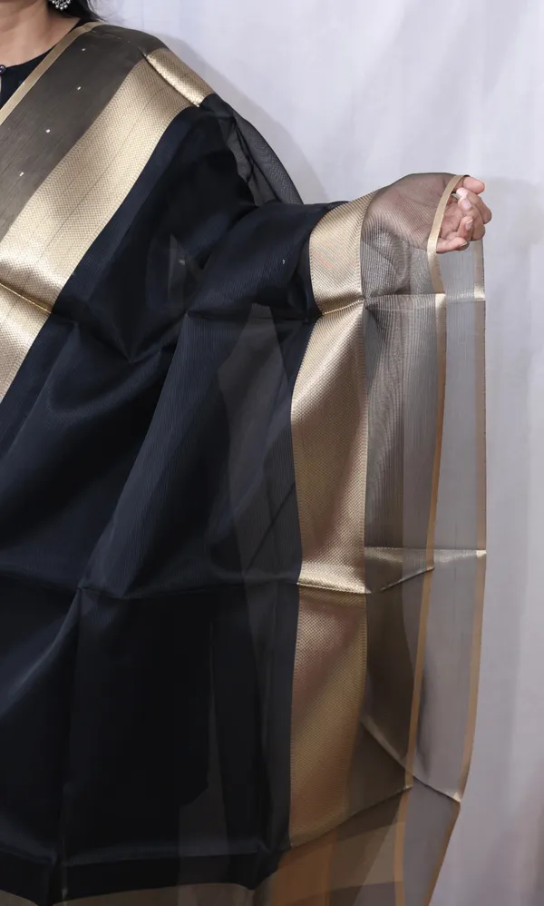 Organza_Zari_Border