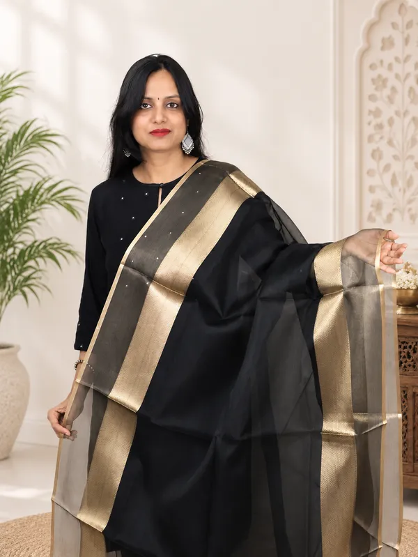 Organza_Zari_Border