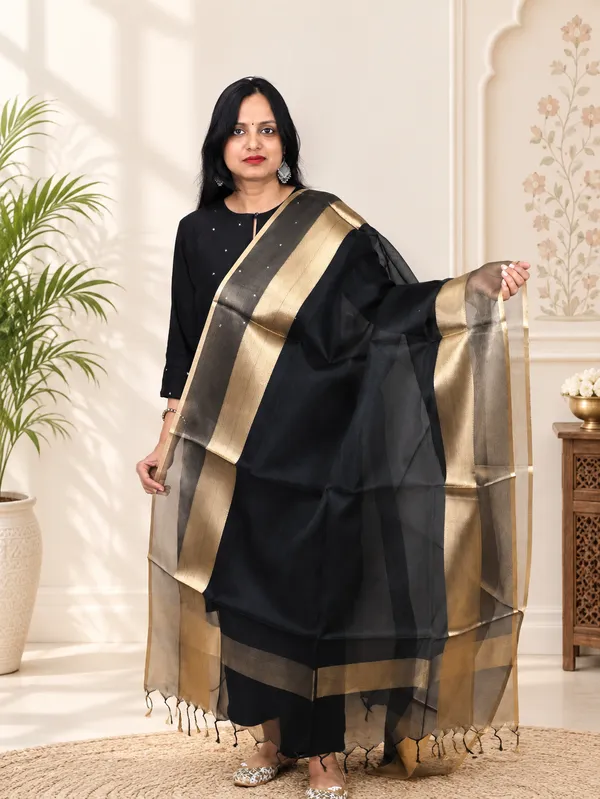 Organza_Zari_Border