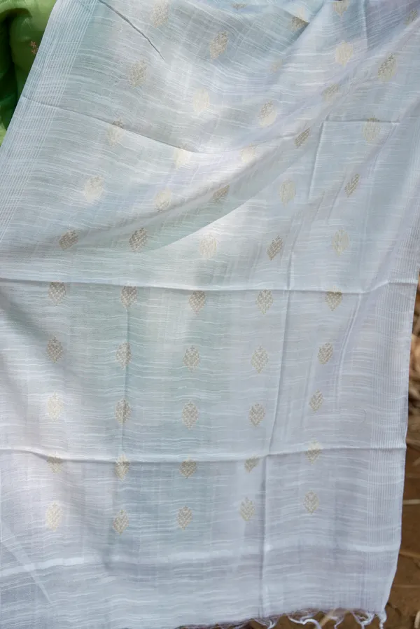Staple_Wifi_Dupatta