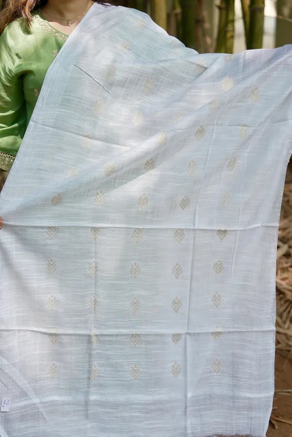 Staple_Wifi_Dupatta