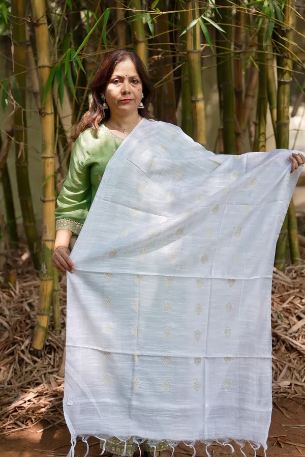 Staple_Wifi_Dupatta