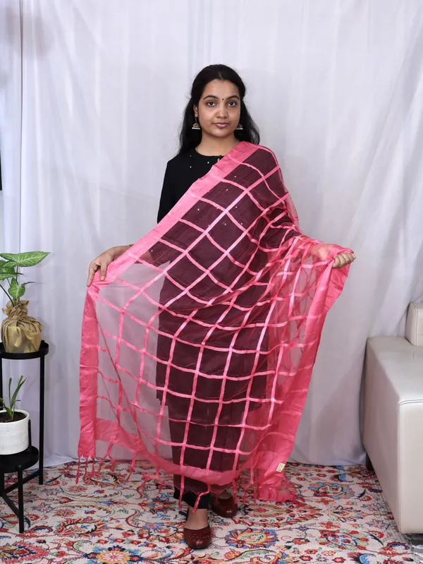 Tissue_Lining_Dupatta