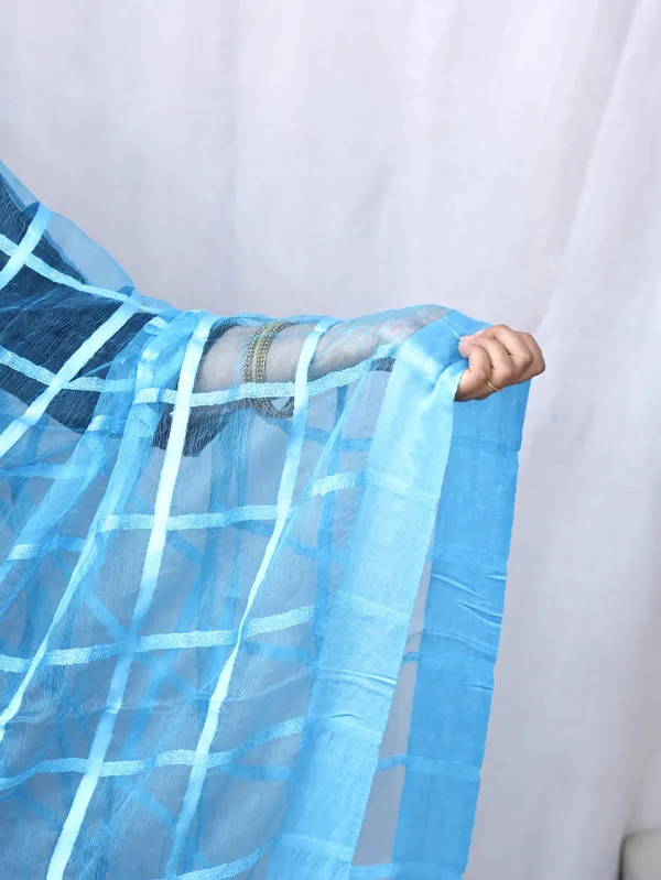Tissues_Lining_Dupatta