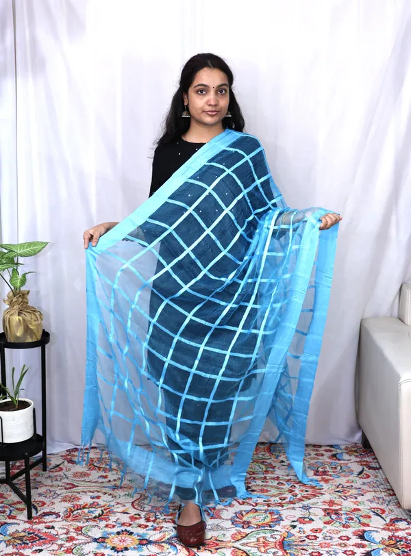 Tissues_Lining_Dupatta