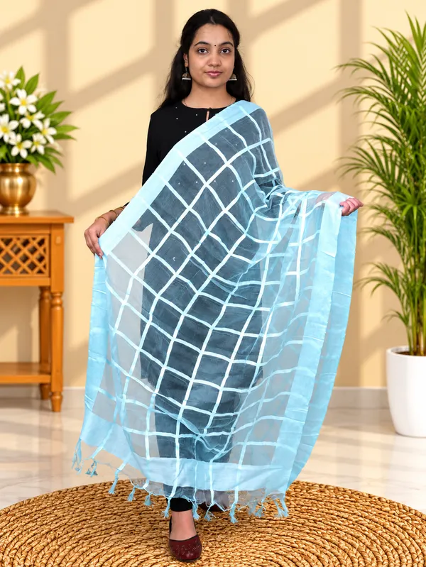 Tissue_Lining_Dupatta
