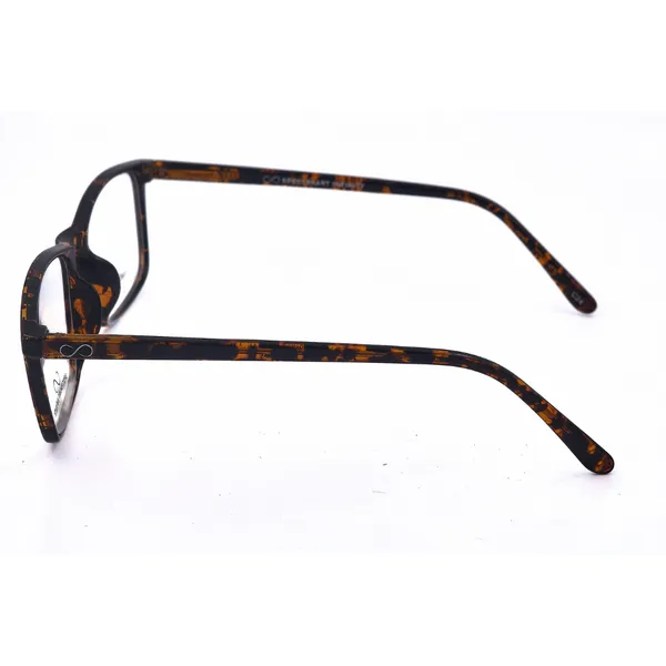 Brown_And_Tortoise_Acetate_And_Tr90_Eyewear_For_Unisex