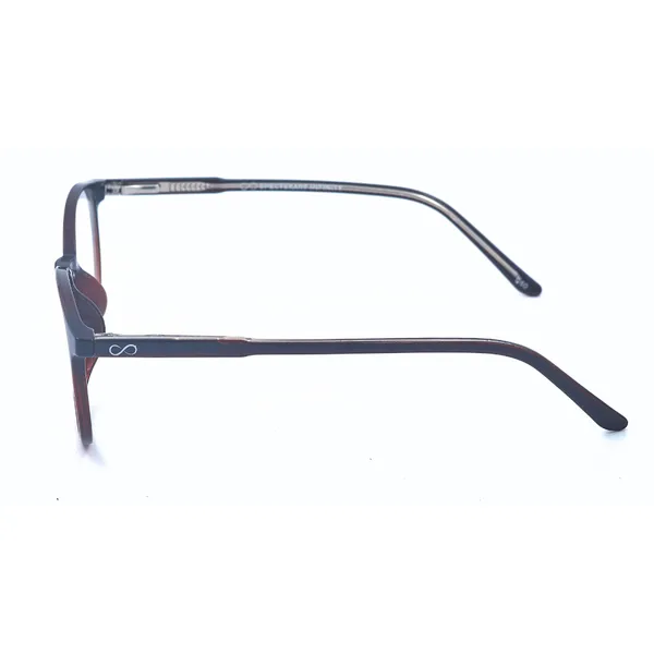 Brown_Acetate_And_Tr90_Eyewear_For_Women