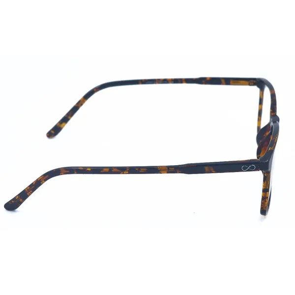 Brown_And_Tortoise_Acetate_And_Tr90_Eyewear_For_Unisex