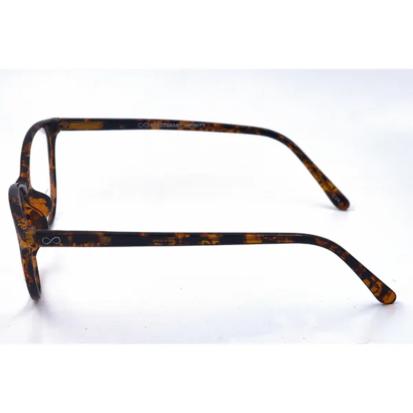 Brown_And_Tortoise_Acetate_And_Tr90_Eyewear_For_Women