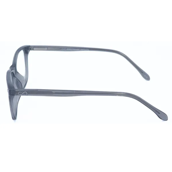 Grey_And_Transparent_Acetate_And_Tr90_Eyewear_For_Unisex