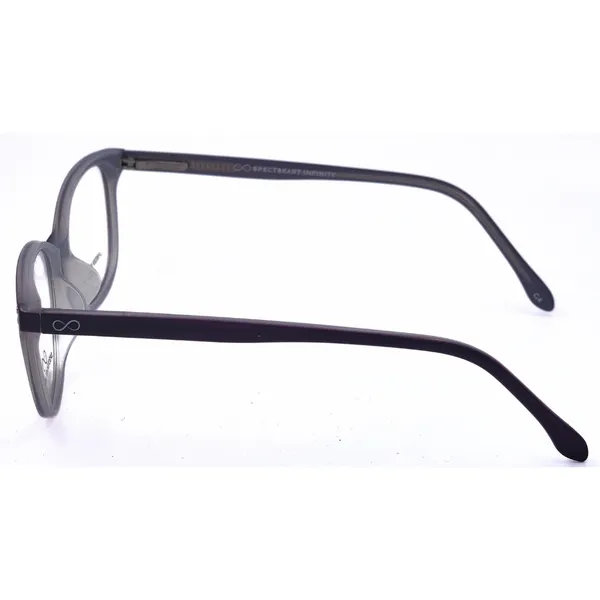 Purple_Acetate_And_Tr90_Eyewear_For_Women
