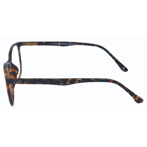 Brown_And_Tortoise_Acetate_And_Tr90_Eyewear_For_Unisex