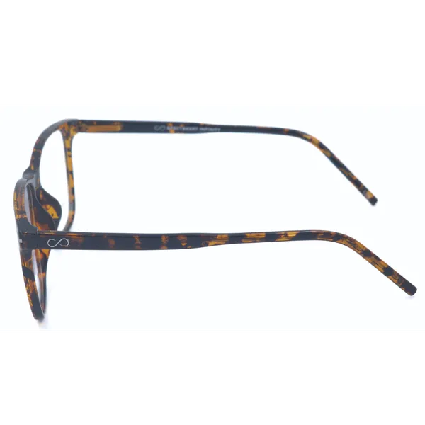 Brown_And_Tortoise_Acetate_And_Tr90_Eyewear_For_Unisex