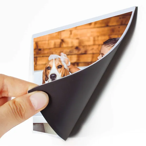 Magnetic_Photo_Frame_Pockets_for_Refrigerator_4x6_inches_3pcs