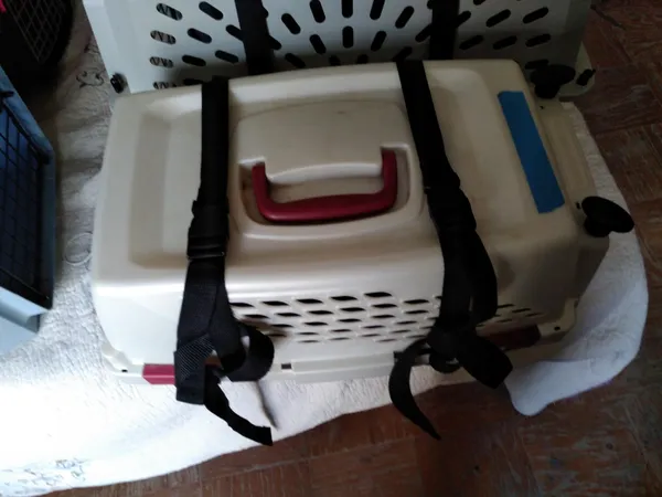 1.8_Meter_Utility_Strap_with_Quick-Release_Buckle_Adjustable,_for_Luggage_Bags,_Traveling,_Bikes,_Cars,_Outing,_Black,_6-Pack.