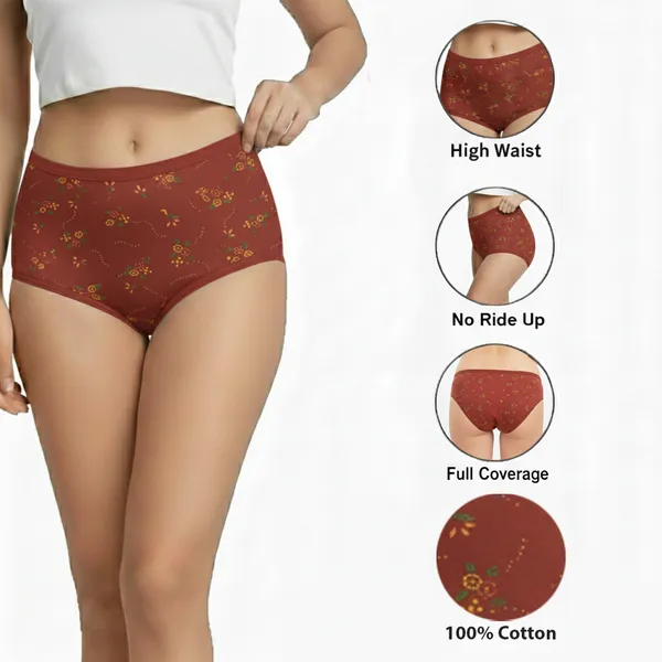 LADYWRAP_Combo_Pack_of_3_Women's_Multicolor_Printed_Cotton_,_Stretchable_Breathable_Hipster,_Briefs_Stylish_&_Comfortable_Daily_Wear_Panties_Soft_Fabric_Ladies_Underwear_for_Girls_&_Women