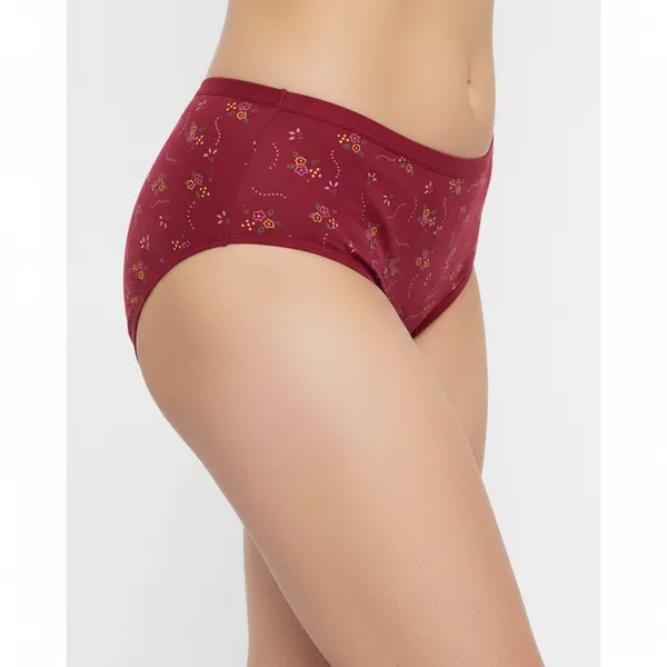LADYWRAP_Combo_Pack_of_3_Women's_Multicolor_Printed_Cotton_,_Stretchable_Breathable_Hipster,_Briefs_Stylish_&_Comfortable_Daily_Wear_Panties_Soft_Fabric_Ladies_Underwear_for_Girls_&_Women