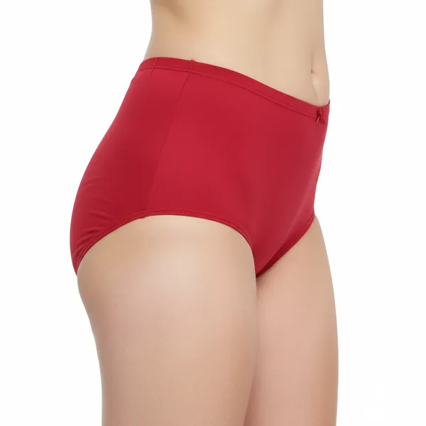 LADYWRAP_Women's_Multicolor_During_Your_Period,Stay_Confident,_No_Stains___,_4way_Stretch_Hipster_Briefs_Stylish_&_Comfortable_Daily_Wear_Panties_Soft_Fabric_Ladies_Underwear