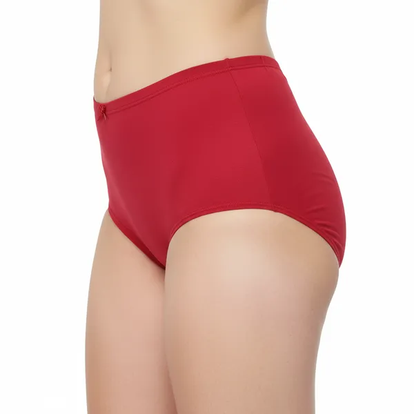 LADYWRAP_Women's_Multicolor_During_Your_Period,Stay_Confident,_No_Stains___,_4way_Stretch_Hipster_Briefs_Stylish_&_Comfortable_Daily_Wear_Panties_Soft_Fabric_Ladies_Underwear