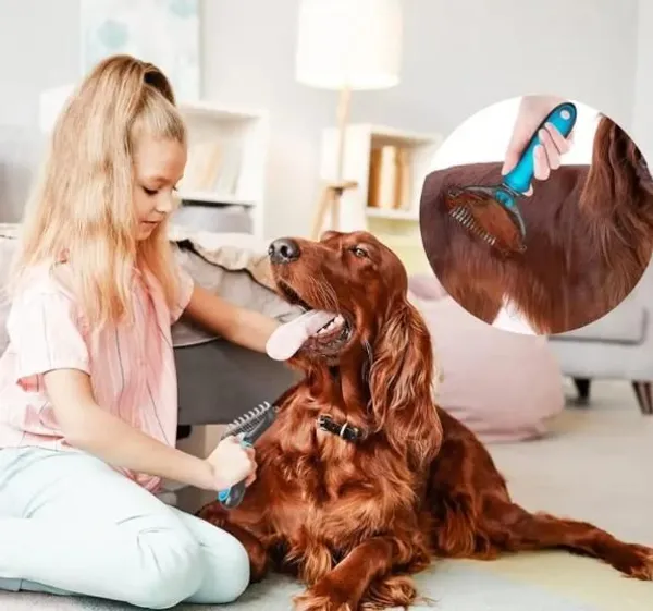 Multicolor_2_In_1_Deshedding_Grooming_Undercoat_Brush