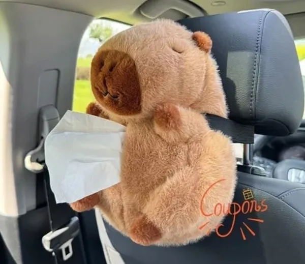 Multicolor_Capybara_Tissue_Holder