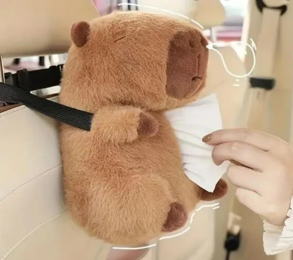 Multicolor_Capybara_Tissue_Holder