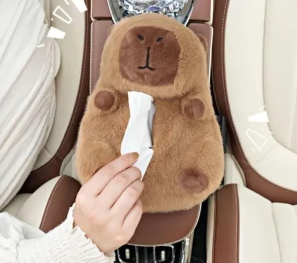 Multicolor_Capybara_Tissue_Holder