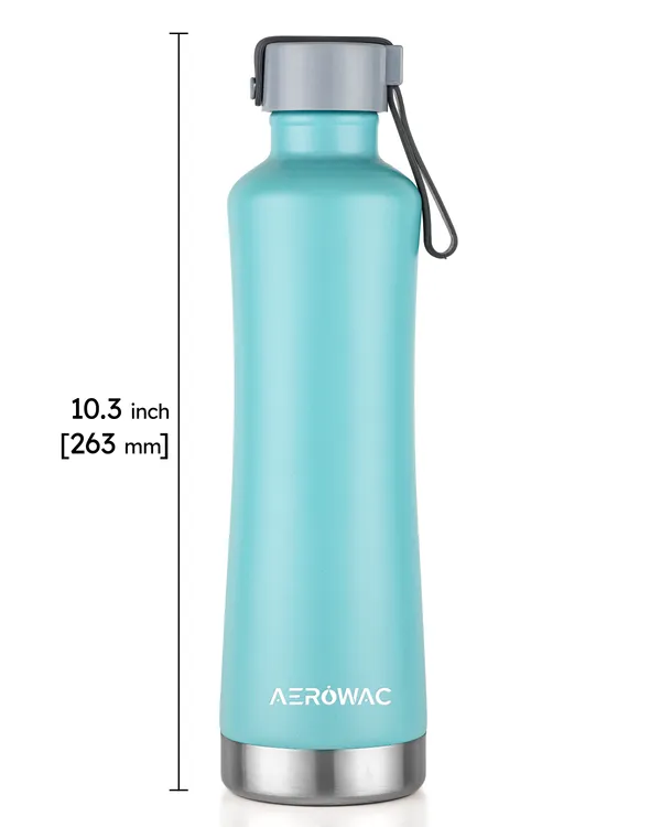 Terra_Heavy-Duty_Double_Wall_Steel_Bottle_|_Hot_&_Cold_|_Outdoor_&_Travel_Use_|_490ml,_Blue