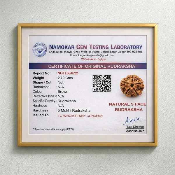 Divine_Balance_–_5_Mukhi_Rudraksha