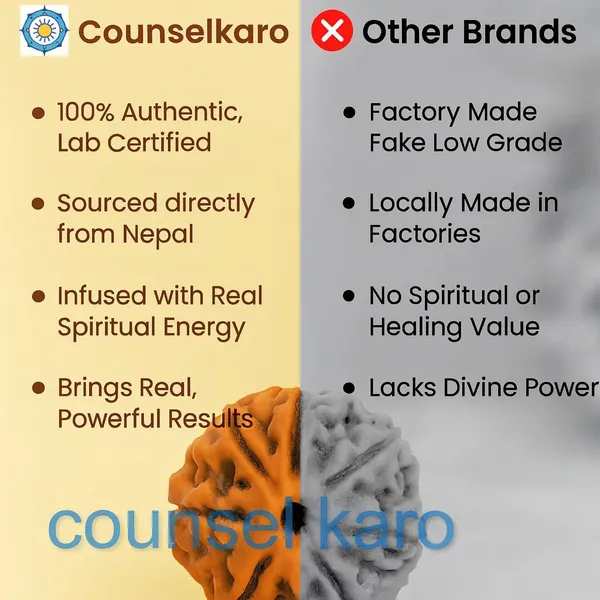 Divine_Balance_–_5_Mukhi_Rudraksha