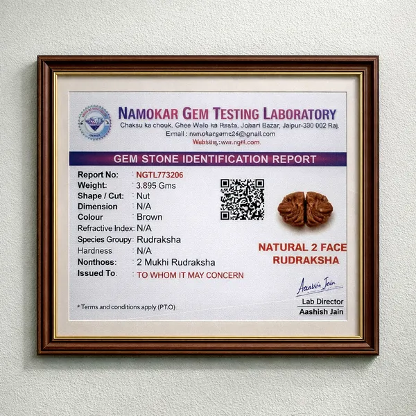 SoulBond_Harmony_–_2_Mukhi_Rudraksha
