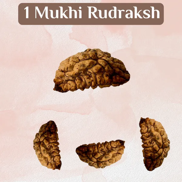 Divine_Power_Rudraksha