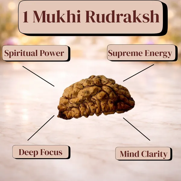 Divine_Power_Rudraksha