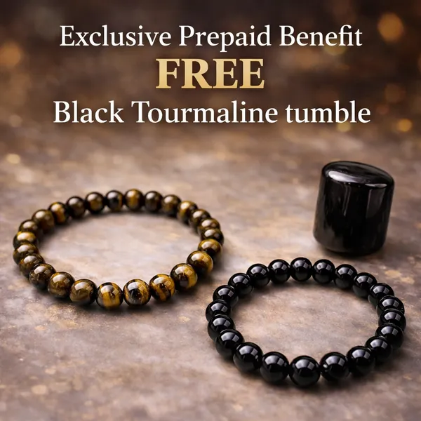 Fearless_Shield_–_Black_Tourmaline_×_Tiger_Eye