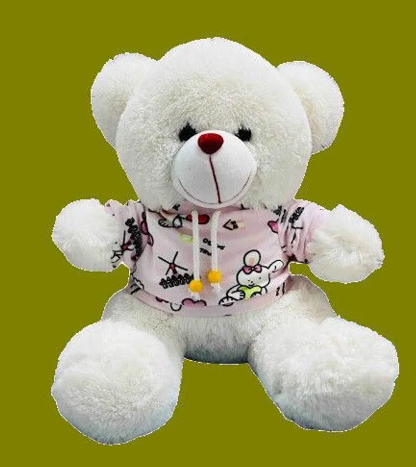 Multicolor_Poly_Fiber_Teddy_Bear_For_Boys_And_Girls