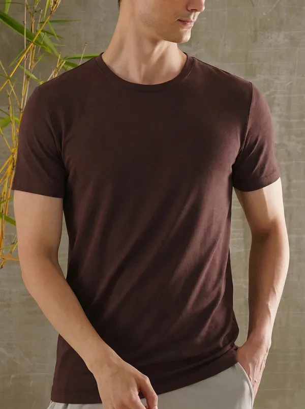 Classic_Slim_Fit_Brown_Crew_Neck_T-Shirt_for_Men