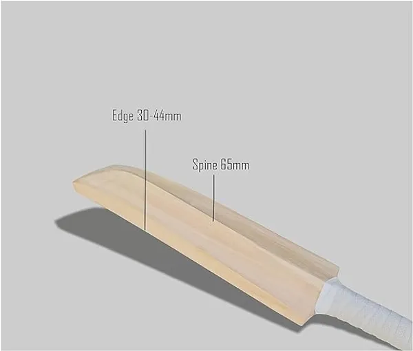 Brown_Popular_Willow_Cricket_Bat_For_Tennis_Bass