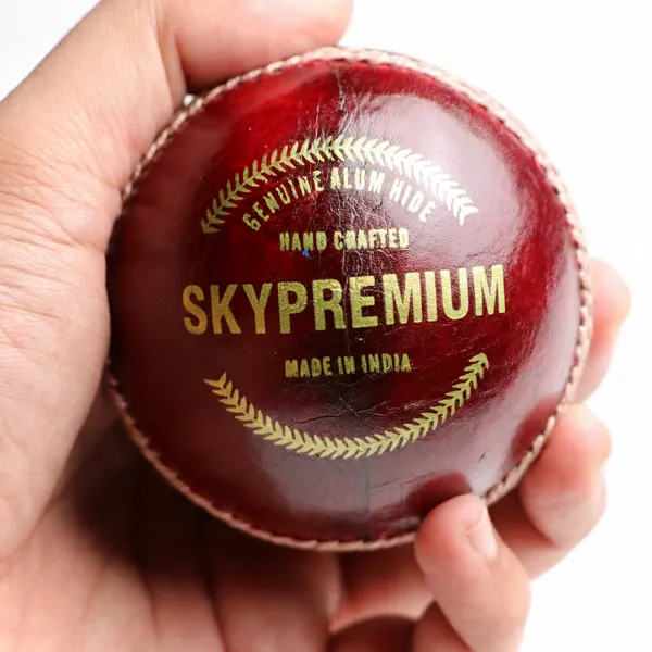 Red_Shield_40_Cricket_Balls_|_Colour:_Red_|_Pack_Size:_Pack_Of_1_|_Water-Resistant_Leather_Ball_|_Suitable_For_Practice_Game