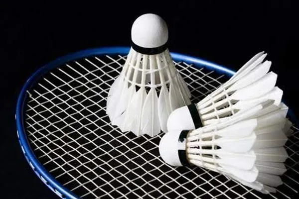 White_Feather_Shuttle_Cock_Pro-350,_Pack_Of_6