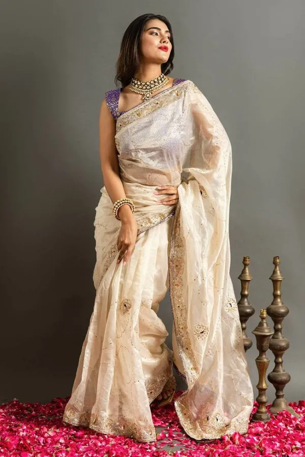 Eautiful_Jimmy_Choo_Silk_Saree