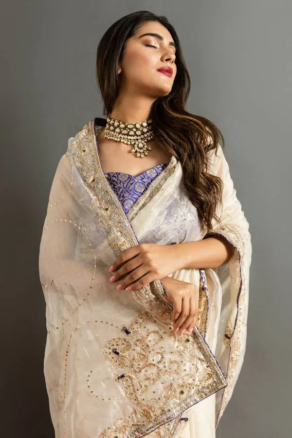 Eautiful_Jimmy_Choo_Silk_Saree